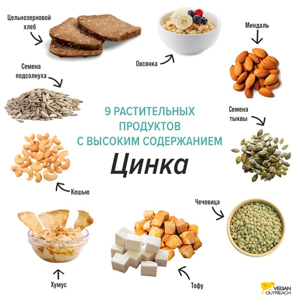 продукты богатые цинком и витаминами группы В